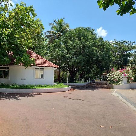 Angels Resort Aradi Socorro ภายนอก รูปภาพ